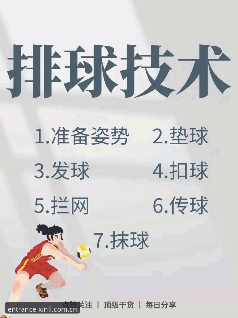 新利体育官方APP下载与使用实用指南：技术评测视角下的必备知识