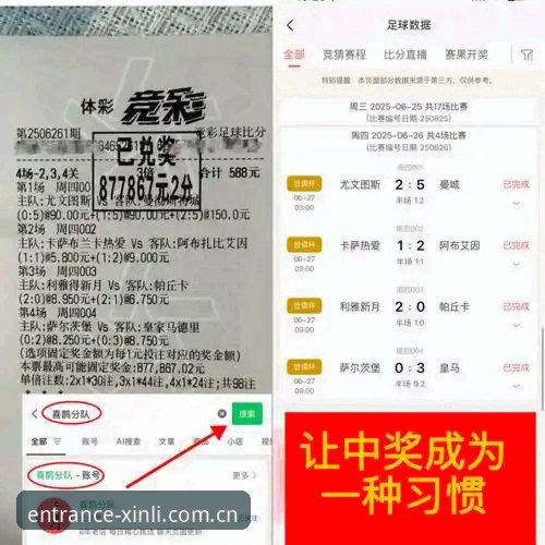 新利体育官网深度分析：从资深用户视角全面解析体育娱乐平台推荐价值