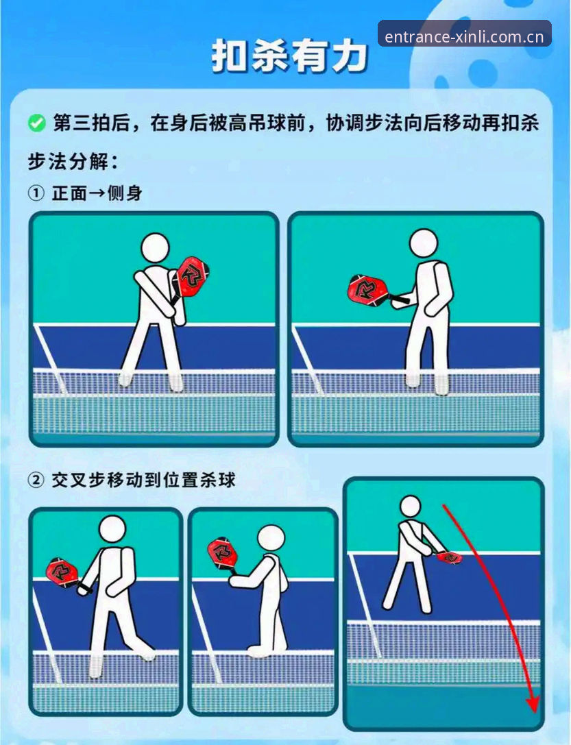 新利体育好用吗必备操作教程：从入门到精通的全流程指南